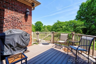 Gorgeous 3BR 2.5BA brick home on a corner lot in The Pointe - photo 42