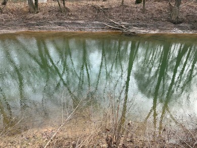 (private lake, pond, creek) Acreage For Sale in Dubois Indiana