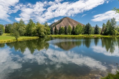 (private lake, pond, creek) Acreage For Sale in Blaine County Idaho