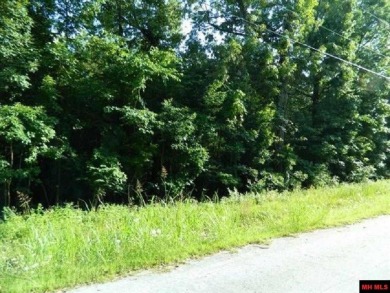 Bull Shoals Lake Lot For Sale in Bull Shoals Arkansas