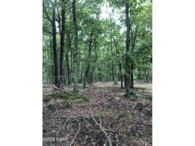 Lake Lot For Sale in Select One, Pennsylvania