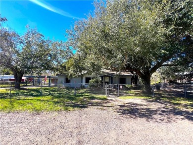Lake Home For Sale in Sandia, Texas
