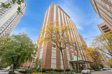 Lake Michigan - Cook County Condo For Sale in Chicago Illinois