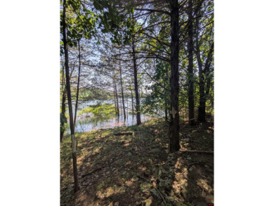 Lake Lot For Sale in Oakland, Arkansas