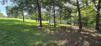 Bull Shoals Lake Lot For Sale in Bull Shoals Arkansas