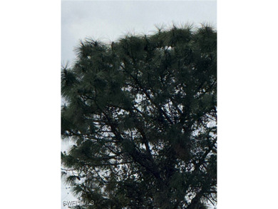 Lehigh Acres Area Lot Sale Pending in Lehigh Acres Florida