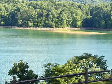 Gorgeous Main Channel Norris Lake Views! Welcome to lake living - photo 11