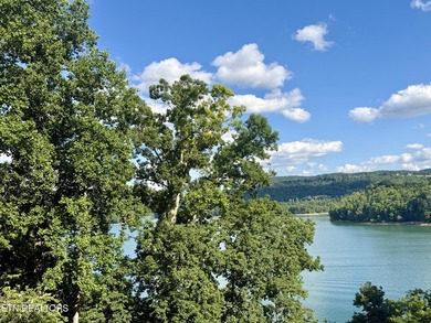 Gorgeous Main Channel Norris Lake Views! Welcome to lake living - photo 13