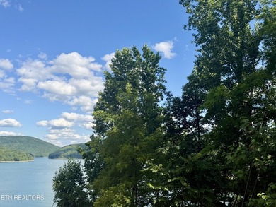 Gorgeous Main Channel Norris Lake Views! Welcome to lake living - photo 14
