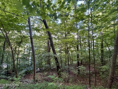 Gorgeous Main Channel Norris Lake Views! Welcome to lake living - photo 15