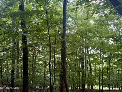 Gorgeous Main Channel Norris Lake Views! Welcome to lake living - photo 16