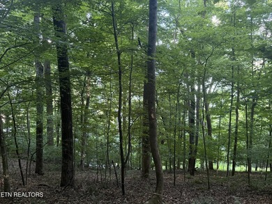 Gorgeous Main Channel Norris Lake Views! Welcome to lake living - photo 17