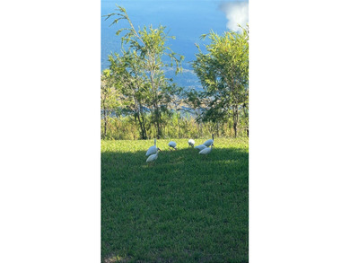 CALLING ALL INVESTORS!! Welcome to this outstanding Lakeview - photo 7