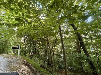 Gorgeous Main Channel Norris Lake Views! Welcome to lake living - photo 19
