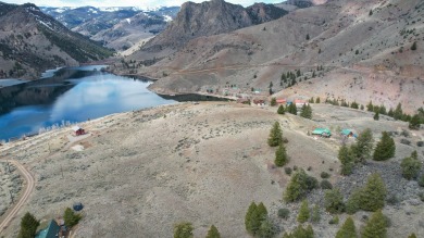 Williams Lake Lot For Sale in Salmon Idaho