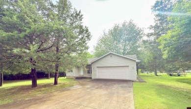 Lake Home For Sale in Lakeview, Arkansas
