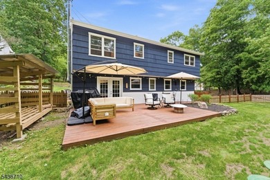 Truly turnkey bilevel in desirable Hopatcong! This beautifully - photo 7