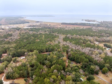 Approximately 21+/- wooded acres located on Mount Pleasant Drive - photo 2