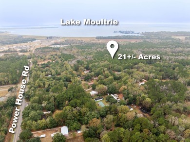 Approximately 21+/- wooded acres located on Mount Pleasant Drive - photo 3