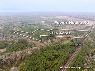 Approximately 21+/- wooded acres located on Mount Pleasant Drive - photo 4