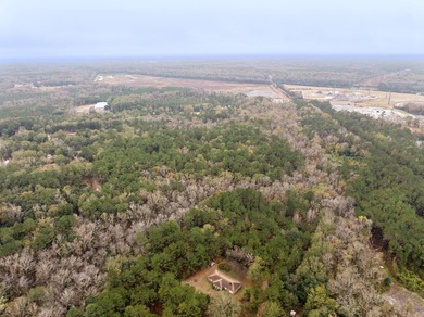 Approximately 21+/- wooded acres located on Mount Pleasant Drive - photo 6