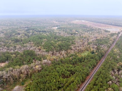 Approximately 21+/- wooded acres located on Mount Pleasant Drive - photo 7