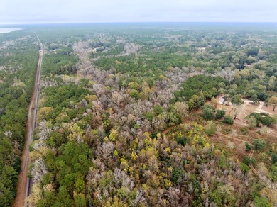 Approximately 21+/- wooded acres located on Mount Pleasant Drive - photo 8