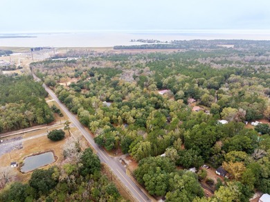 Approximately 21+/- wooded acres located on Mount Pleasant Drive - photo 9