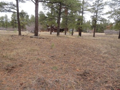 Lake Pagosa Lot For Sale in Pagosa Springs Colorado