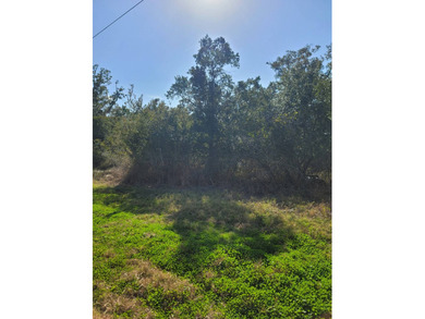 The lot features a wrap around extra large lot 161 x 199.3 x 284 - photo 11