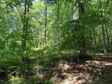 #73500-Bluestone Breakaway!! Just under an acre and zoned R-2 to - photo 11
