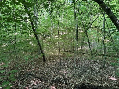 #73500-Bluestone Breakaway!! Just under an acre and zoned R-2 to - photo 12