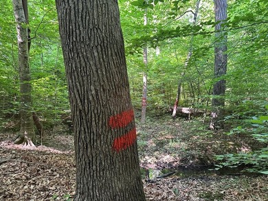 #73500-Bluestone Breakaway!! Just under an acre and zoned R-2 to - photo 13