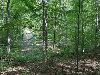 #73500-Bluestone Breakaway!! Just under an acre and zoned R-2 to - photo 14