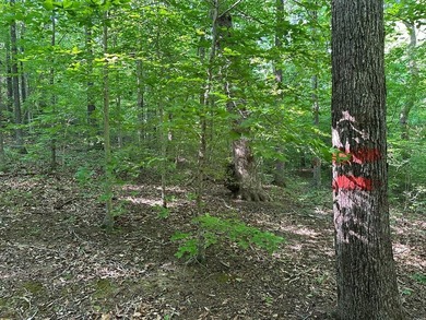 #73500-Bluestone Breakaway!! Just under an acre and zoned R-2 to - photo 16