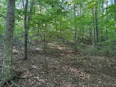 #73500-Bluestone Breakaway!! Just under an acre and zoned R-2 to - photo 17