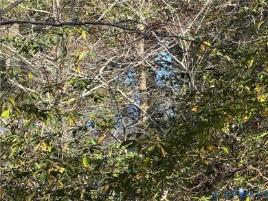 Lake Lot For Sale in Williamsburg, Virginia