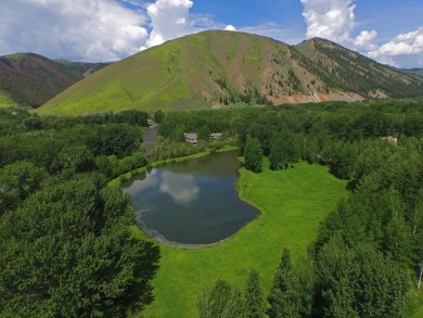 (private lake, pond, creek) Acreage For Sale in Ketchum Idaho