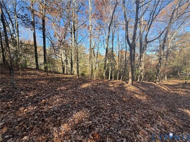 Come build your dream home overlooking Lake Norvell. 1.2 Acres - photo 2