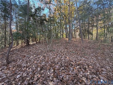 Come build your dream home overlooking Lake Norvell. 1.2 Acres - photo 3