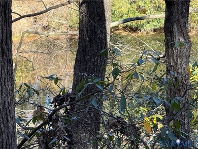 Come build your dream home overlooking Lake Norvell. 1.2 Acres - photo 4