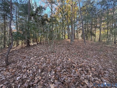 Come build your dream home overlooking Lake Norvell. 1.2 Acres - photo 5