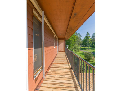 So much to say about this stunning YR home on Mille Lacs. The - photo 29