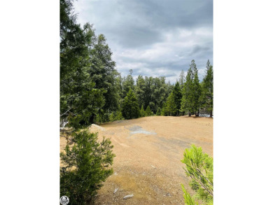 Pine Mountain Lake Lot For Sale in Groveland California