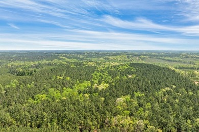 Discover the perfect blend of seclusion, natural beauty and - photo 7