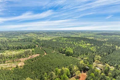 Discover the perfect blend of seclusion, natural beauty and - photo 9