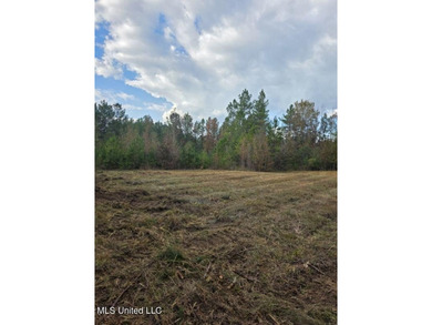 (private lake, pond, creek) Acreage For Sale in Prentiss Mississippi