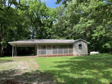 Lake Home For Sale in Lakeview, Arkansas