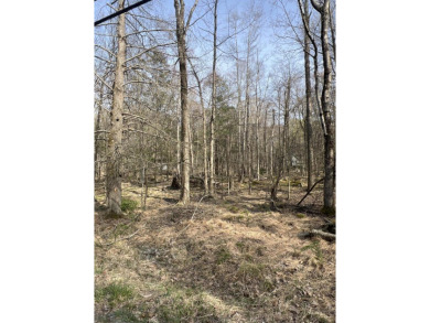 Lake Lot For Sale in Pocono Lake, Pennsylvania