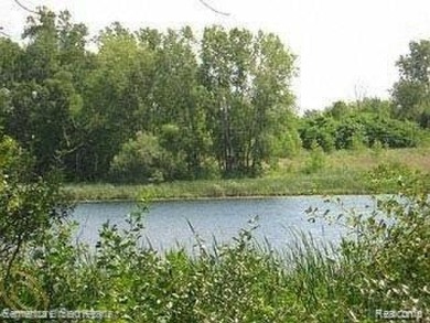 Silver Lake - Oakland County Acreage For Sale in Pontiac Michigan